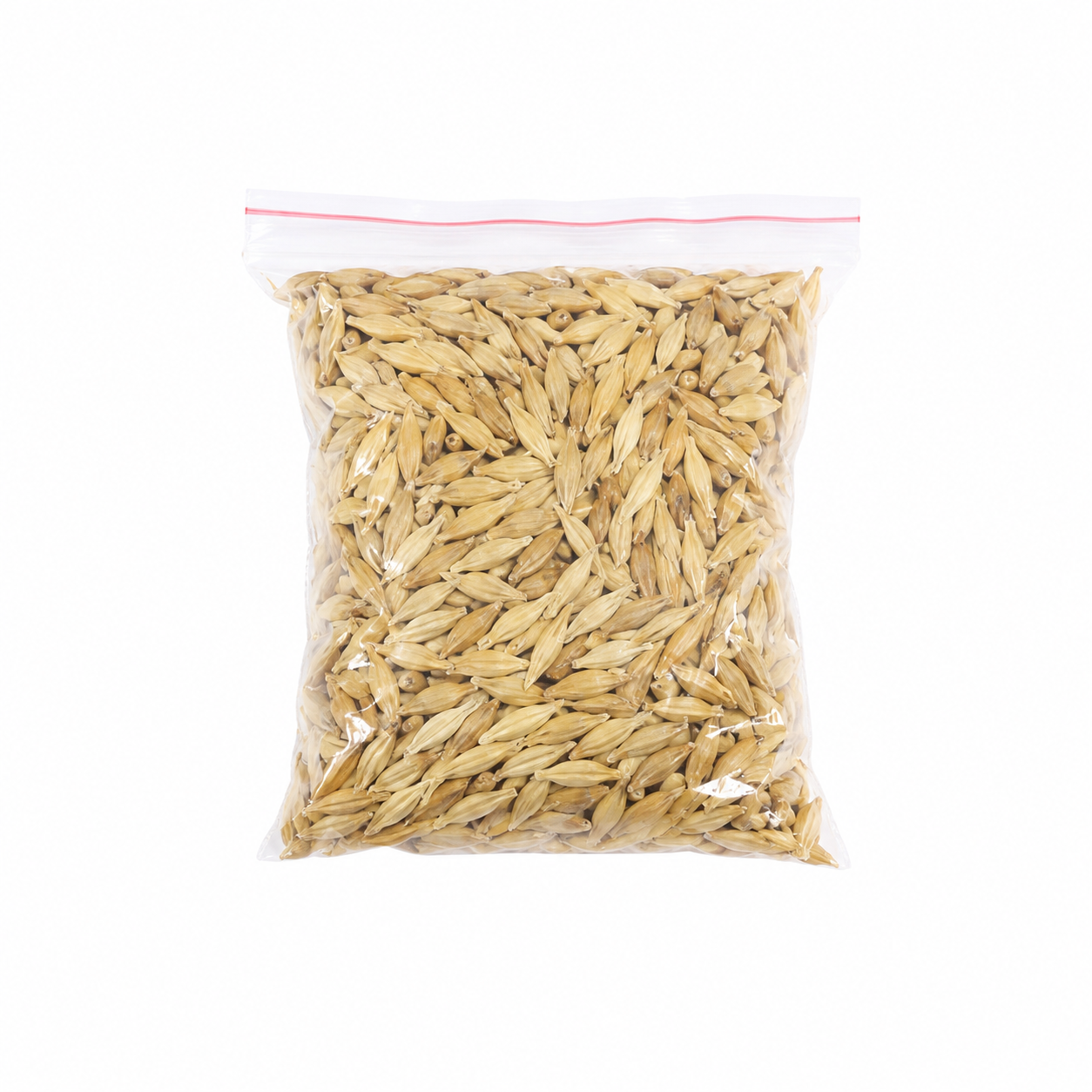 Barley Seeds (Jau)