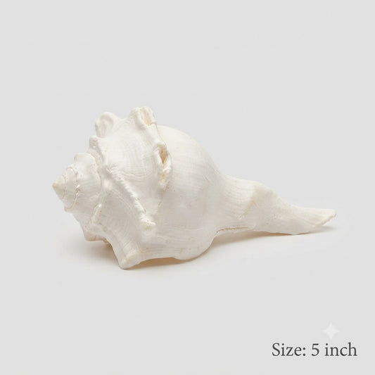 Sacred White Panchajanya Shankh – Traditional Textured Conch Shell for Puja & Aarti (5inch)