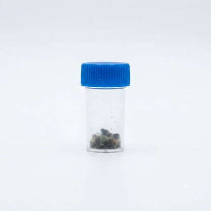 Authentic Navratna Gemstones Collection Set in Storage Vial