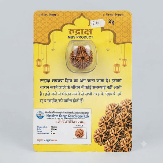 Certified 4 Mukhi Rudraksha – Natural Four Faced Rudraksha Bead in Blister Packing
