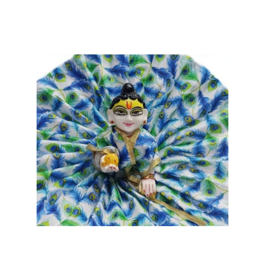 Peacock Blue Feather Print Laddu Gopal Dress