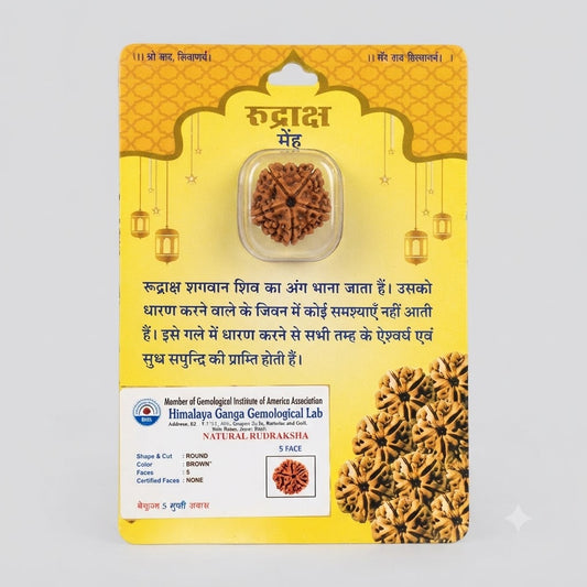 Certified 5 Mukhi Rudraksha – Natural Five Faced Rudraksha Bead in Blister Packing