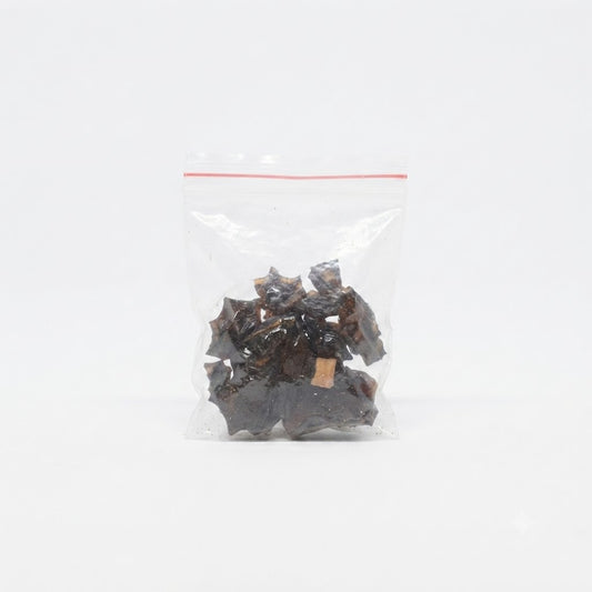 Pure Agarwood (Oud / Aloeswood Resin Chunks) in Resealable Pouch