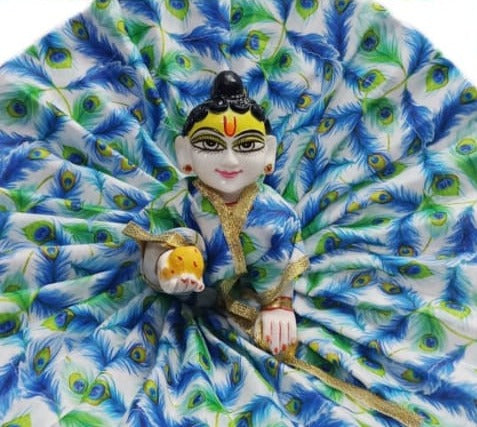 Peacock Blue Feather Print Laddu Gopal Dress